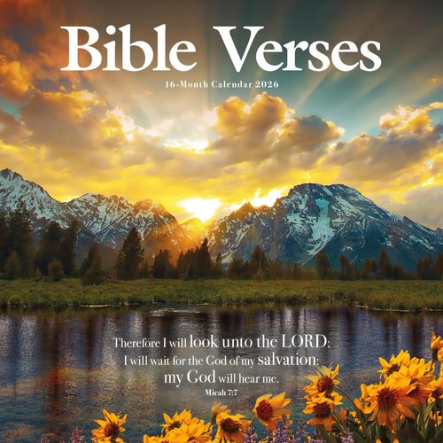 Bible Verses: 12 X 12 Wall