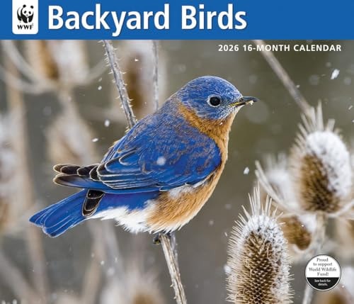 WWF Backyard Birds: 12x14 Deluxe Wall