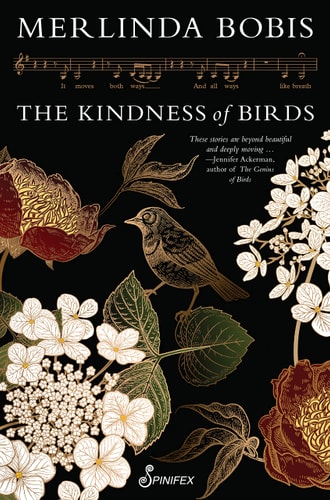 The Kindness of Birds