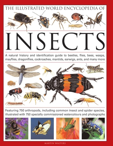 The Illustrated World Encyclopaedia...