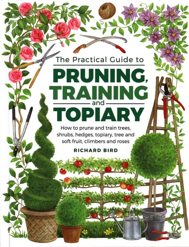 Practical Guide to Pruning, Training...