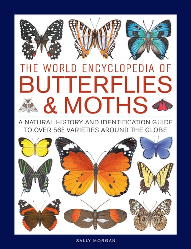 Butterflies & Moths, The World Encyclopedia...