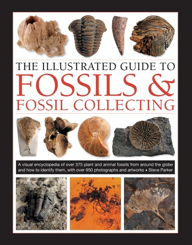The Illustrated Guide to Fossils...