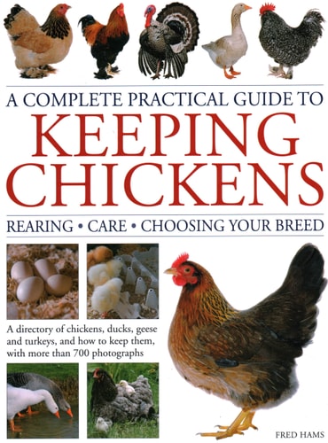 A Complete Practical Guide to Keeping...