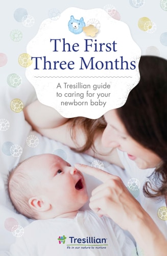 The Fourth Trimester: Understanding, Protecting, and Nurturing an Infant through the First Three Months
