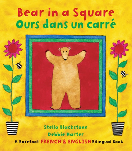 Bear in a Square / Ours dans un...