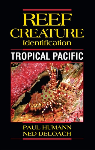 Reef Creature Identification