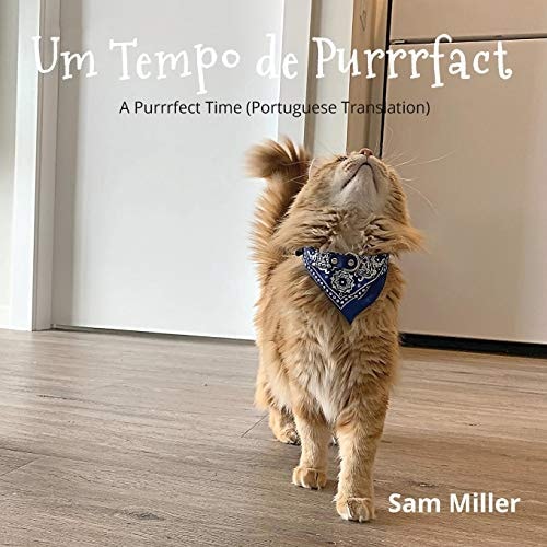 Tempo de Purrrfact
