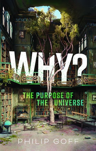 Why? The Purpose of the Universe...