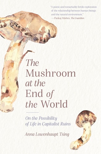 The Mushroom at the End of the World...