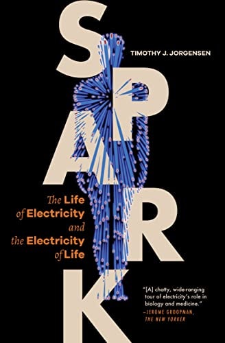 The Spark of Life: Electricity in the Human Body