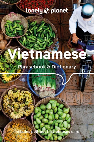 Vietnamese Phrasebook & Dictionary...