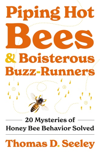 Piping Hot Bees and Boisterous Buzz-Runners...