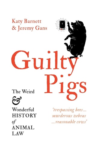Guilty Pigs