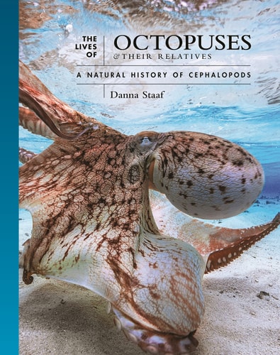 The Lives of Octopuses and Their...