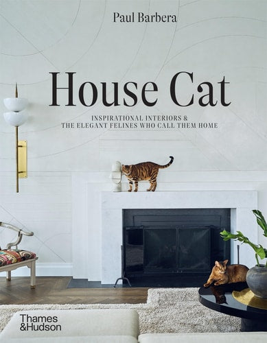 Poe's Uncanny House Cat