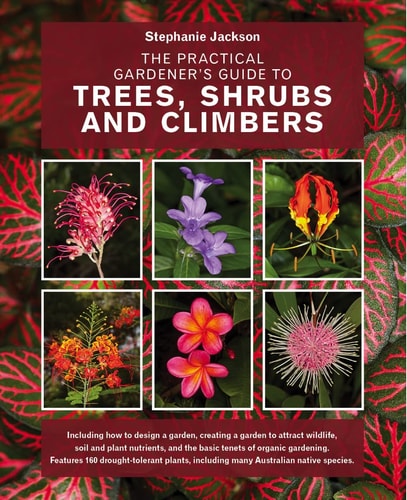 How to Propagate 375 Plants: A Practical Guide to Propagating Your Own Flowers, Foliage Plants, Trees, Shrubs, Climbers, Wet-Loving Plants, Bog and Water Plants, Vegetables and Herbs