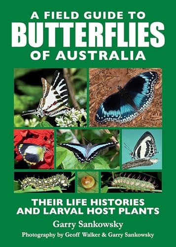 A Field Guide to Butterflies of...