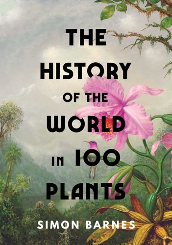 A History of the World in 100 Objects