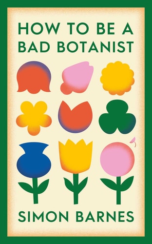 how to be a bad bitch