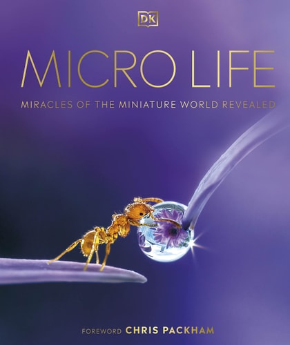 Micro Life: Miracles of the Miniature World Revealed (DK Secret World Encyclopedias)