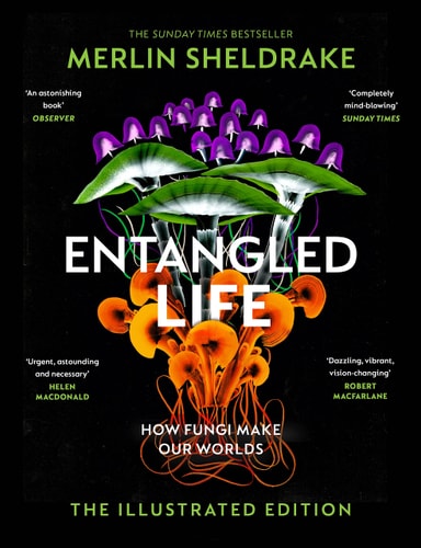 Entangled Life: How Fungi Make Our Worlds, Change Our Minds & Shape Our Futures
