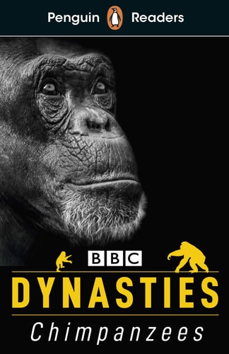 Chimpanzees