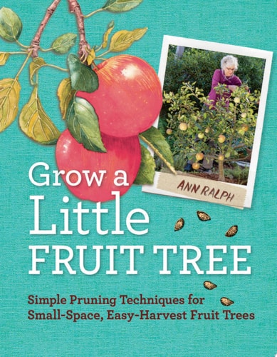 Grow a Little Fruit Tree Simple Pruning Techniques for Small-Space, Easy-Harvest Fruit Trees