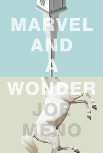 Marvel and a Wonder