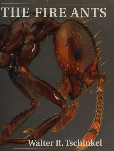 The Fire Ants