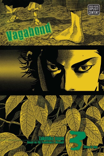 Vagabond Vol 3