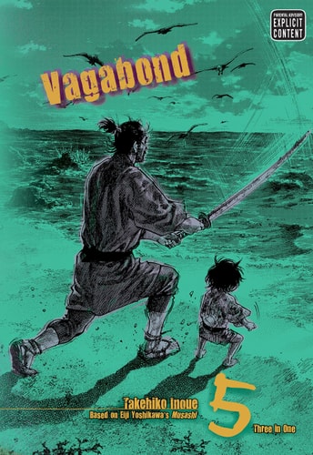 Vagabond Vol 5