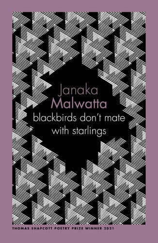 blackbirds don't mate with starlings...