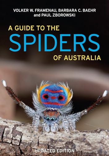 A Guide to Spiders of Australia...