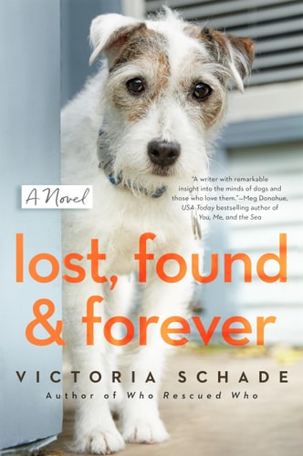 Lost Found and Forever
