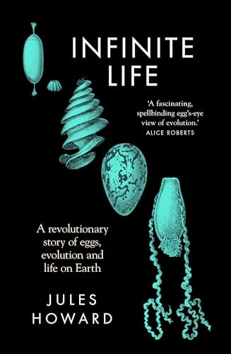 Our Infinite Life