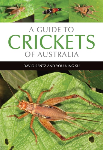 A Guide to Crickets of Australia...