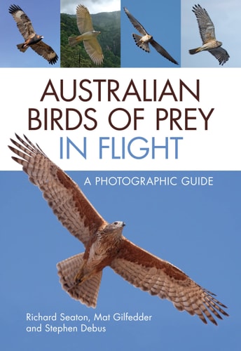 Australian Birds of Prey in Flight...