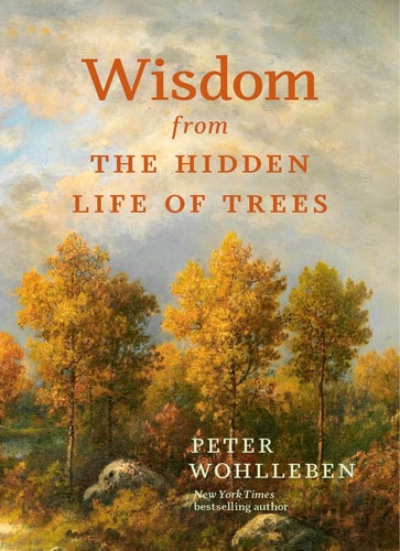 Wisdom from the Hidden Life of Trees...