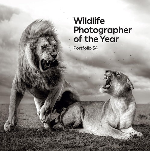Wildlife Photographer of the Year...