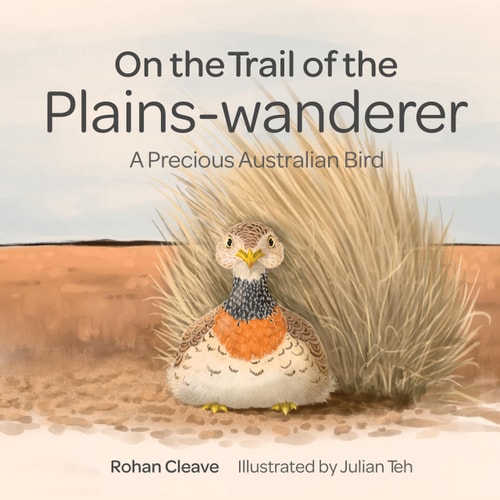 On the Trail of the Plains-wanderer...