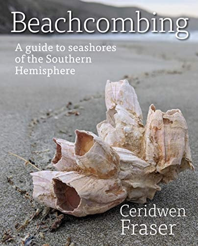 Beachcombing: A guide to seashores of the Southern Hemisphere