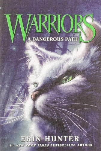Dangerous Path