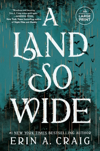 A Land So Wide: A Novel