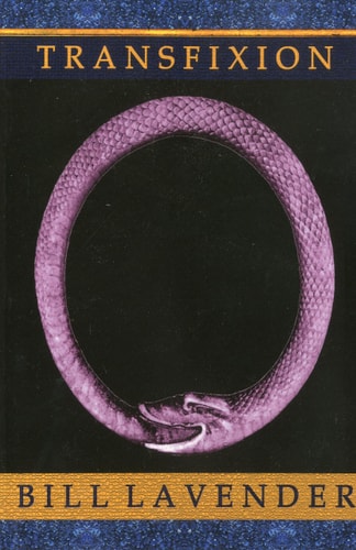 Transfixion