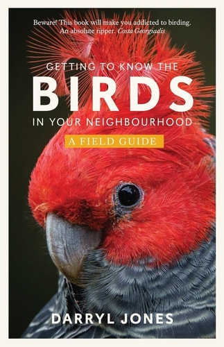 Getting to Know God's Voice: Discover the Holy Spirit in Your Everyday Life (A 31-Day Interactive Journey)