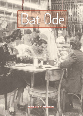 Bat Ode (Phoenix Poets)