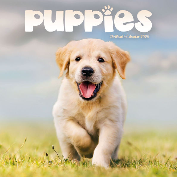 2026 Puppies Mini Wall Calendar