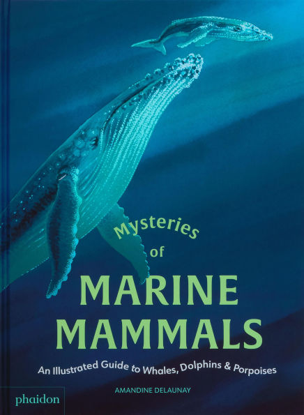 Mysteries of Marine Mammals: An Illustrated Guide to Whales, Dolphins, and Porpoises